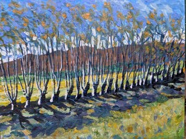 all&eacute;e de platanes en hiver