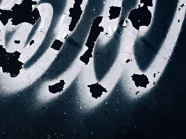 Les gu&eacute;risseurs