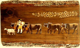 Camailleu - Poya Suisse