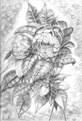 Bouquet camélias
