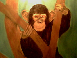 chimpanze