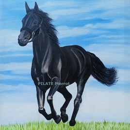 Le cheval noir