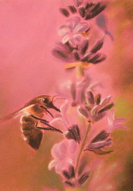 Abeille butinant un brin de lavande