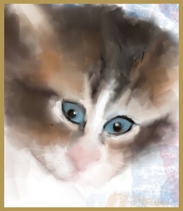 Patate...Mon petit chat.