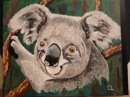 koala