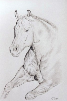Cheval paint horse au galop