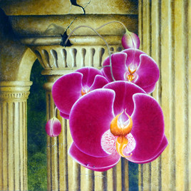 orchid&eacute;e