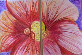 Diptyque Fleur de Capucine