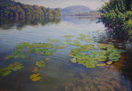 nénuphars sur la Seine