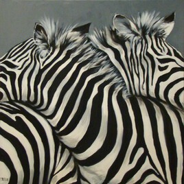 ZEBRES