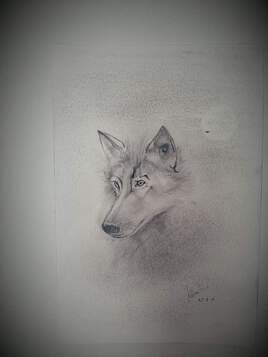 Le loup a l'aff&ucirc;t