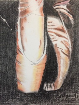 LES  CHAUSSONS ROSES