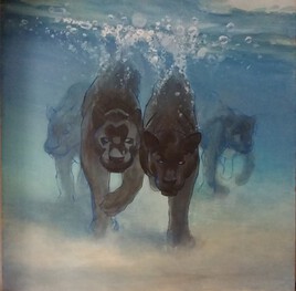 Baignade des panth&egrave;res