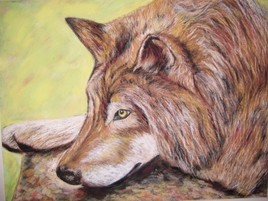 le loup