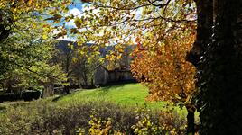 Automne a Thorenc - Alpes maritimes
