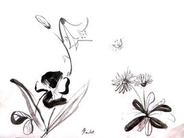 D’une pâquerette à une campanule / Painting Of a daisy in a bellflower