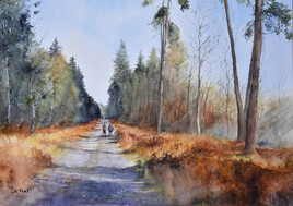 Ecouves - route foresti&egrave;re des Arcis