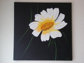 un peu,passionnenant,&agrave; la folie