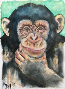Chimpanzé dubitatif