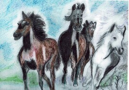 chevaux