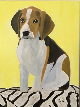 Ouna la petite beagle