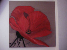 coquelicot