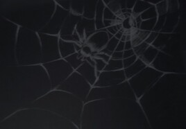 toile d'araign&eacute;e