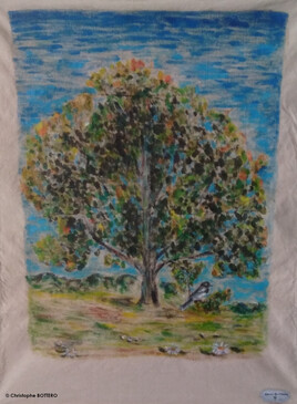 Qui&eacute;tude de la Pie bavarde