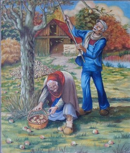 La cueillette des pommes