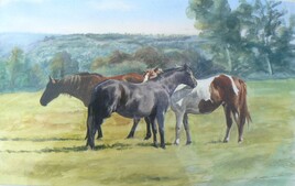 les chevaux