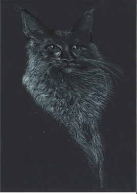 Aristochat Aristochat