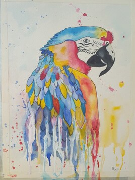 plumes color&eacute;es