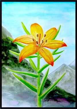 Lys orangé (Lilium bulbiferum var. croceum) / Painting An orange lily