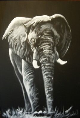 l'&eacute;l&eacute;phant