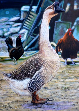 le jar - oie de guinée