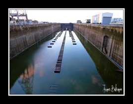 ligne de tins