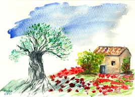 maison du sud au pied d'un champ de coquelicots, sous l'olivier