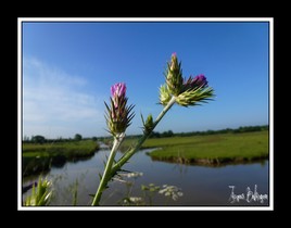 bord de route 2