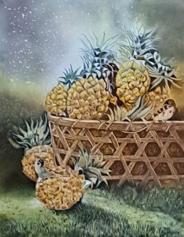 SAVEUR DES TROPIQUES