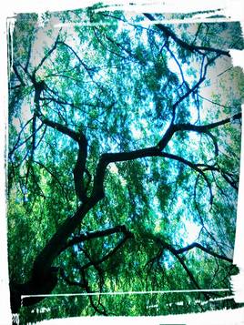 R&ecirc;ve a&eacute;rien