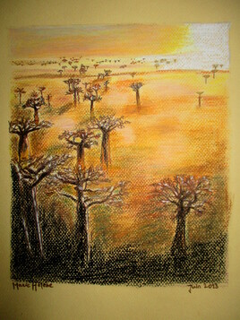 Coucher de soleil sur les baobabs