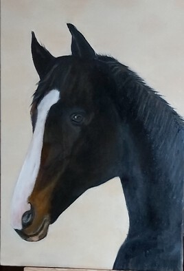 "Roman" Club de Côuret