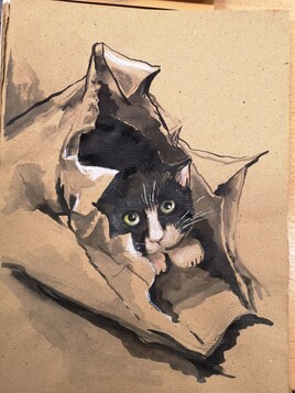 le chat "emball&eacute;"