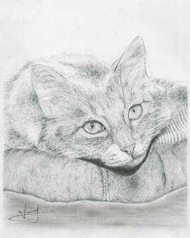 Tendresse f&eacute;line, par PORTRAIT &eacute;MOI