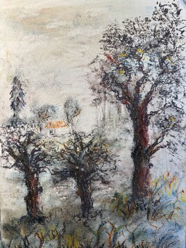 L&rsquo;hiver dans les basses  terres du Marquenterre