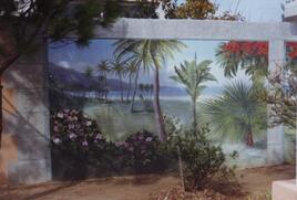 paysage de la reunion