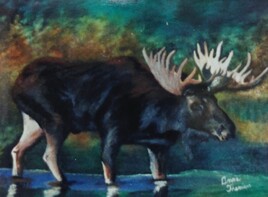 L'orignal des sous-bois