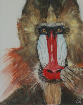 mandrill