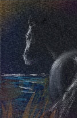 Un cheval dans la nuit...