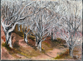 Randonnée d'hiver à Ibardin